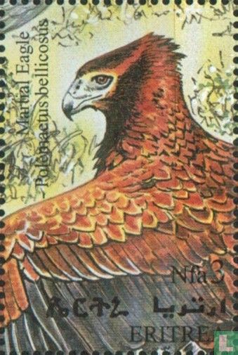 Vögel