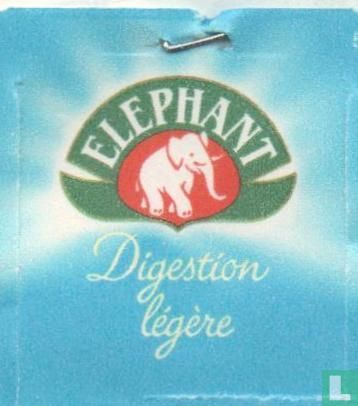 Digestion légère 