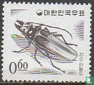 Longhorn beetle