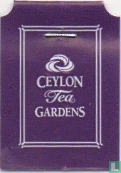 Apple Tea