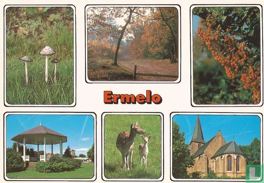 Ermelo 