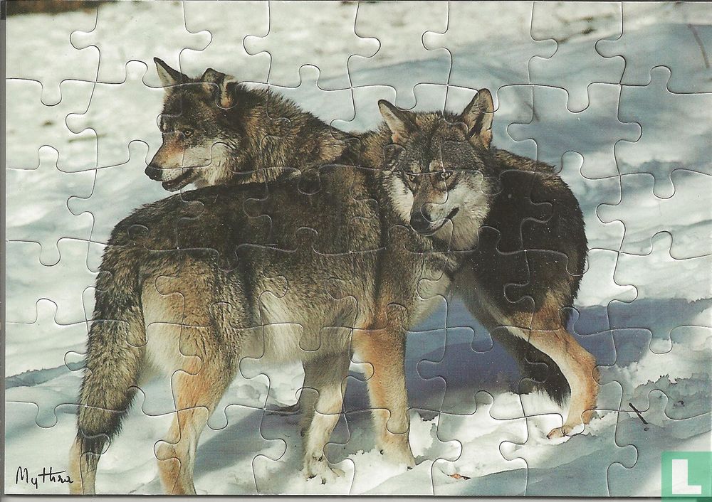 Wolf