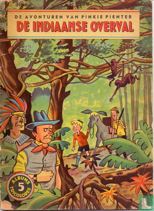 De indiaanse overval 