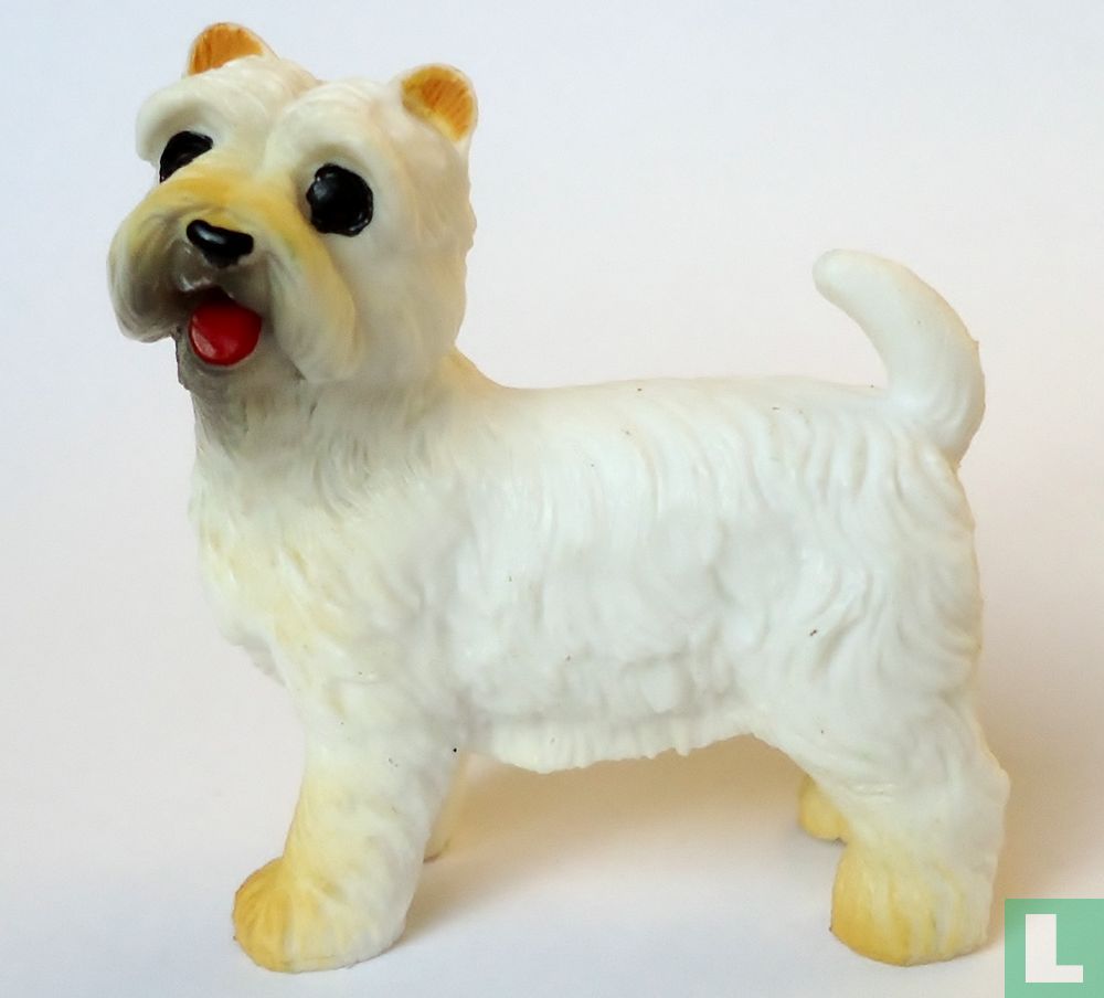 West Highland White Terrier