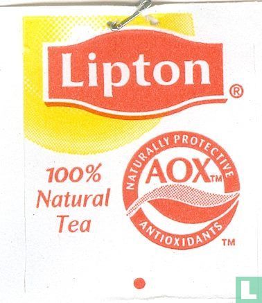 Iced Tea Brew