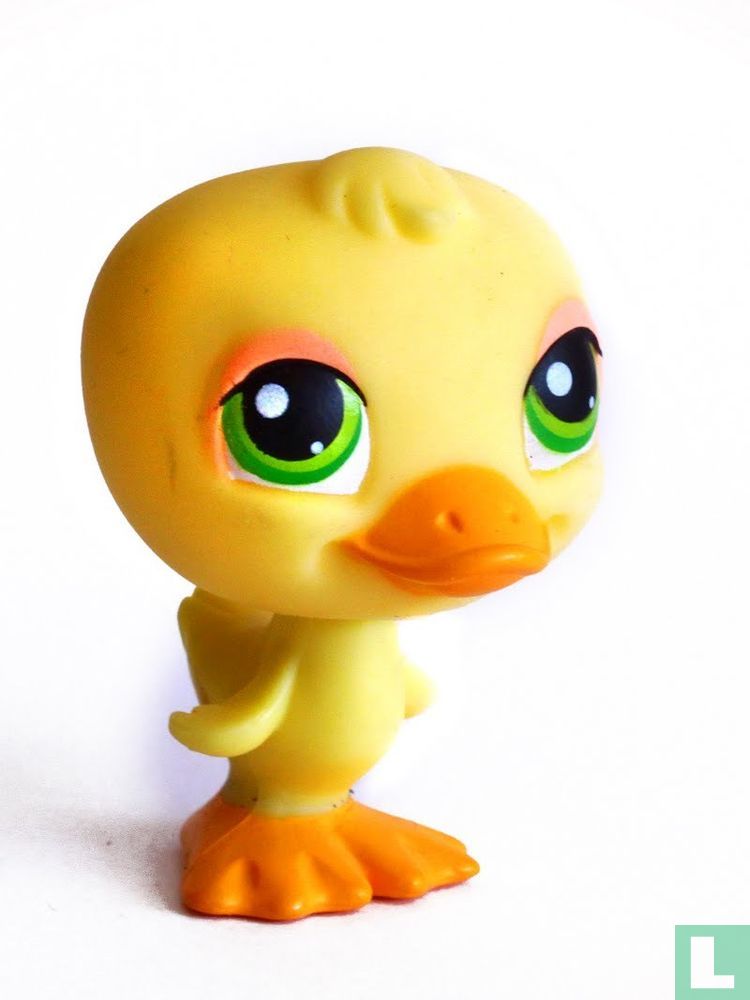 canard