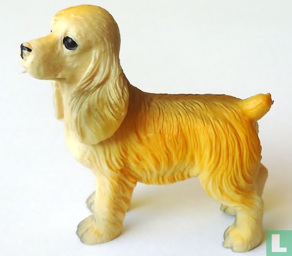 Cocker Spaniel