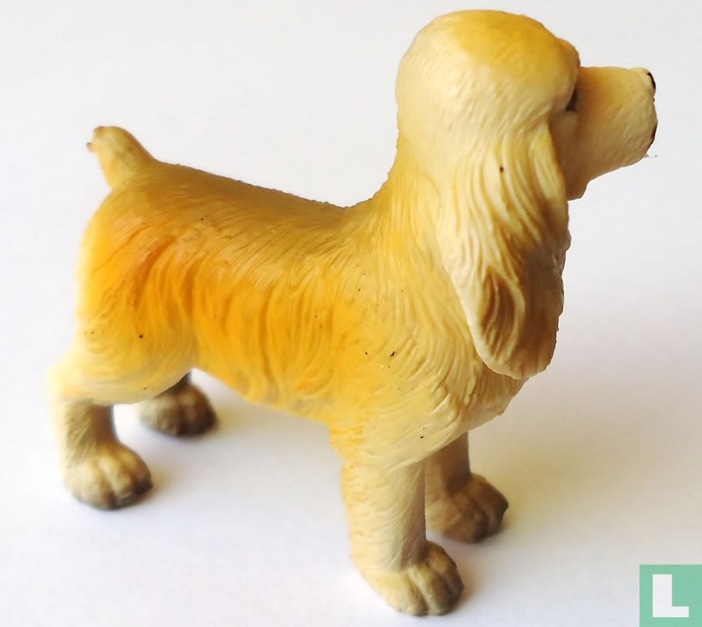 Cocker Spaniel
