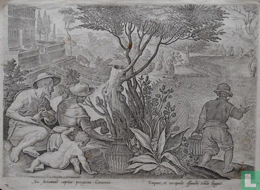 Sic Autumnali capitur peregrina Coturnix Tempore, et excipulis effundit sibila linguis.