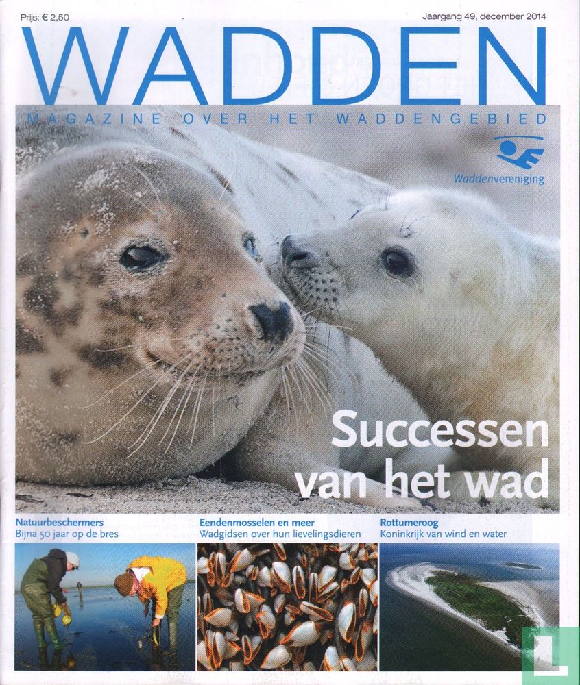 Wadden 4