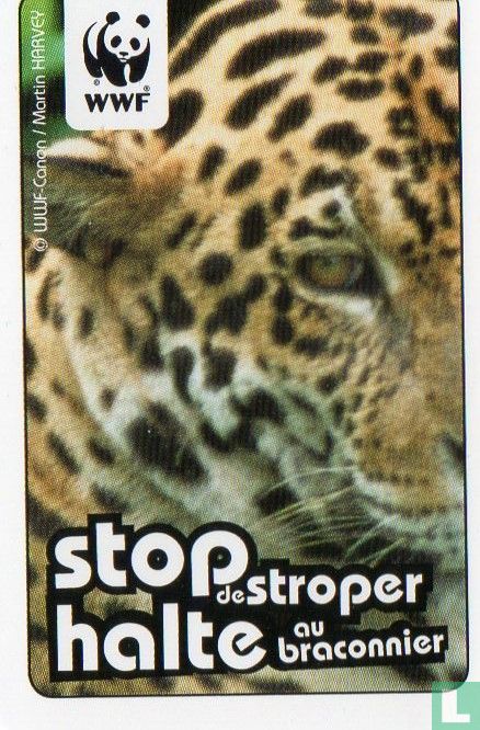 WWF Memory Card