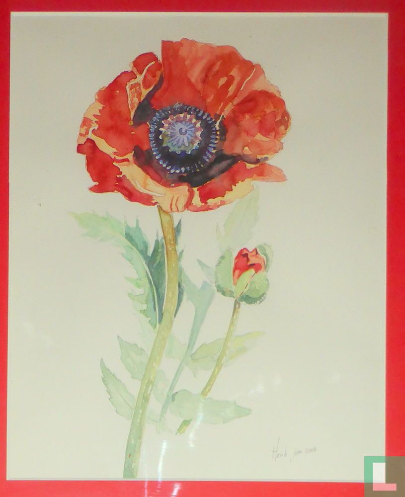 Poppy