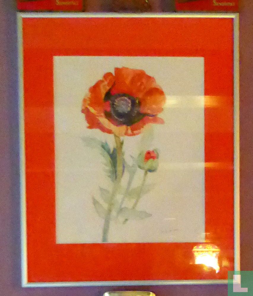 Poppy