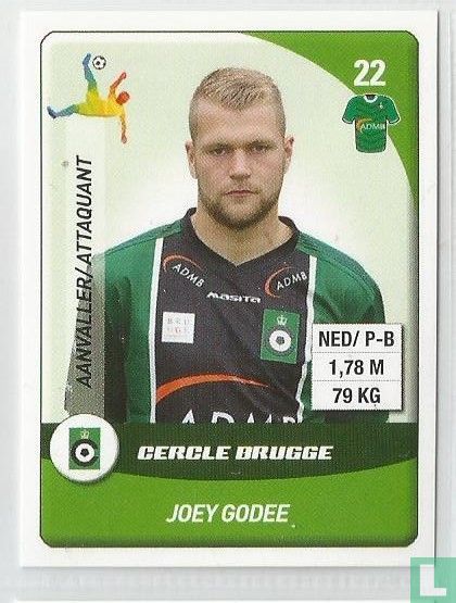 Joey Godee