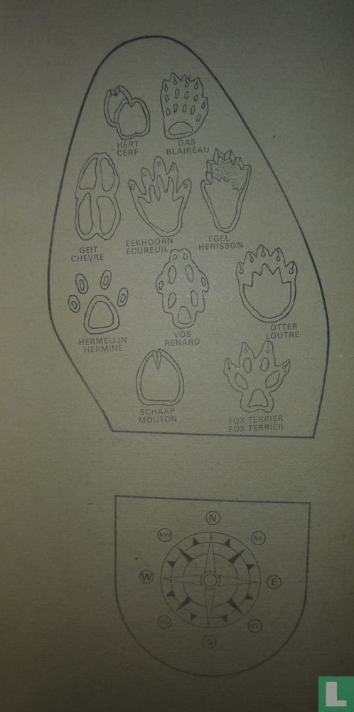 Scouts