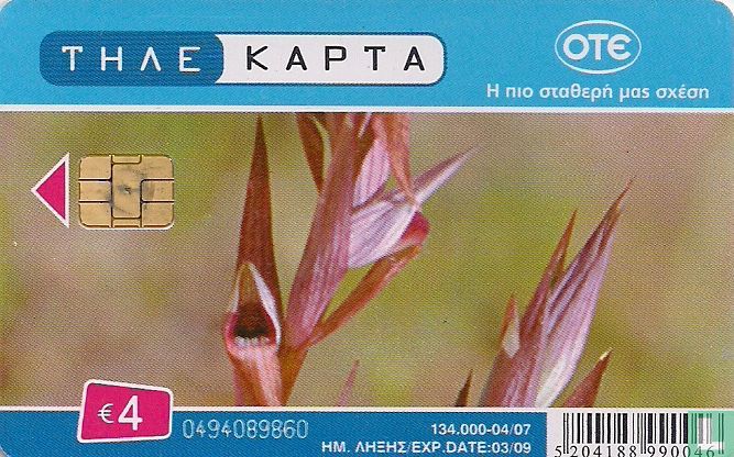 Serapias Laxiflora