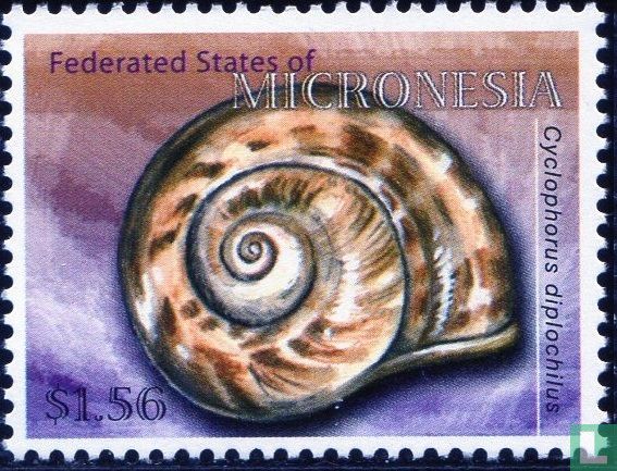 Snails