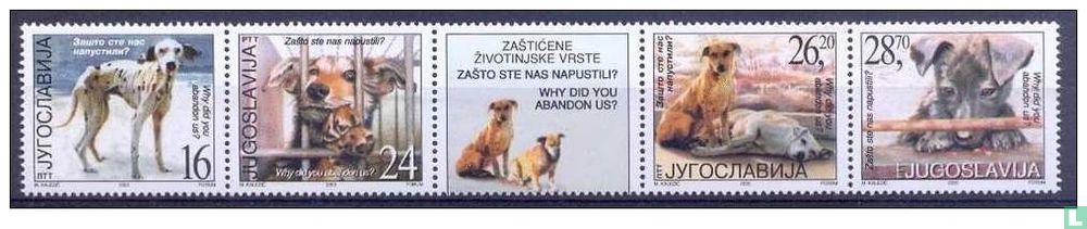 Animal Protection