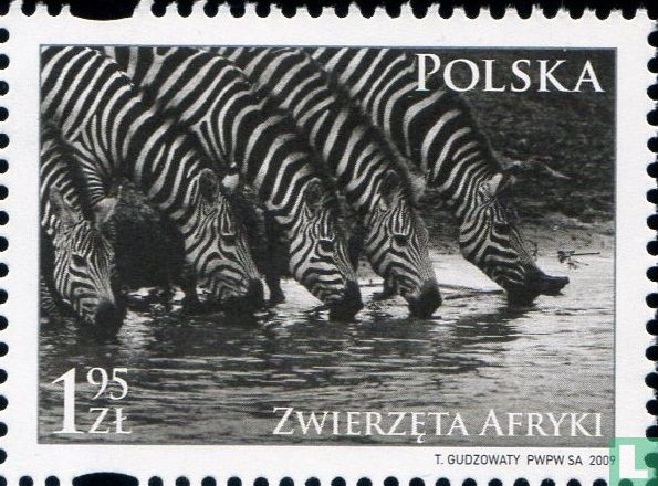 Dieren van Afrika