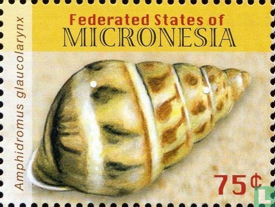 Snails