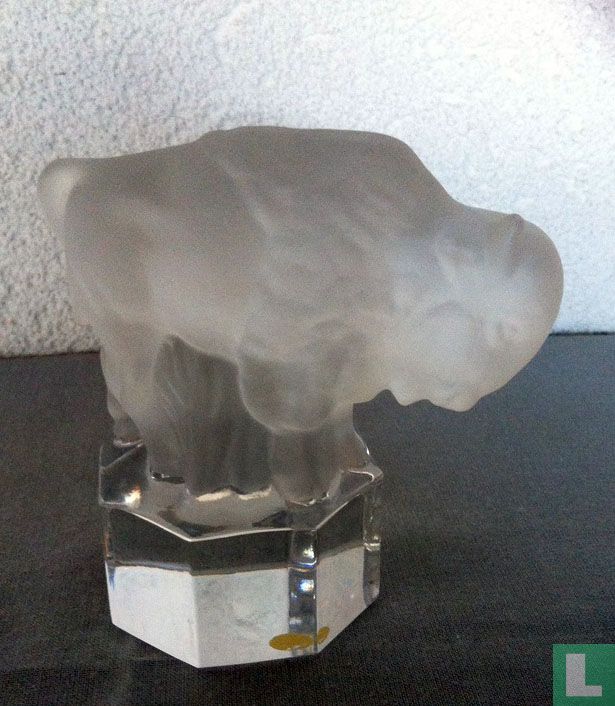 Bison