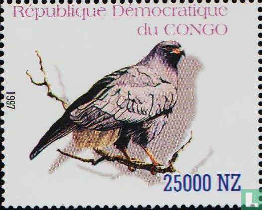 Birds