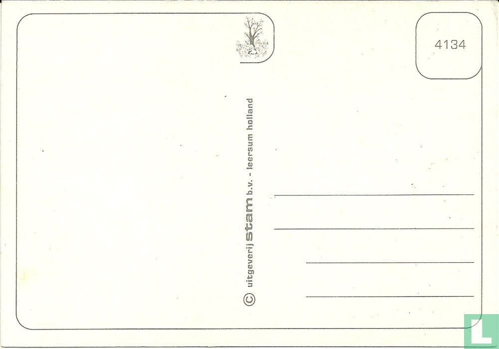 Jonge panter (4134)