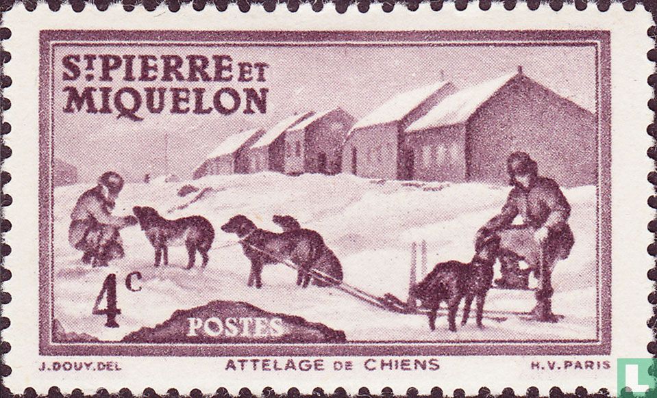 Attelage de chiens