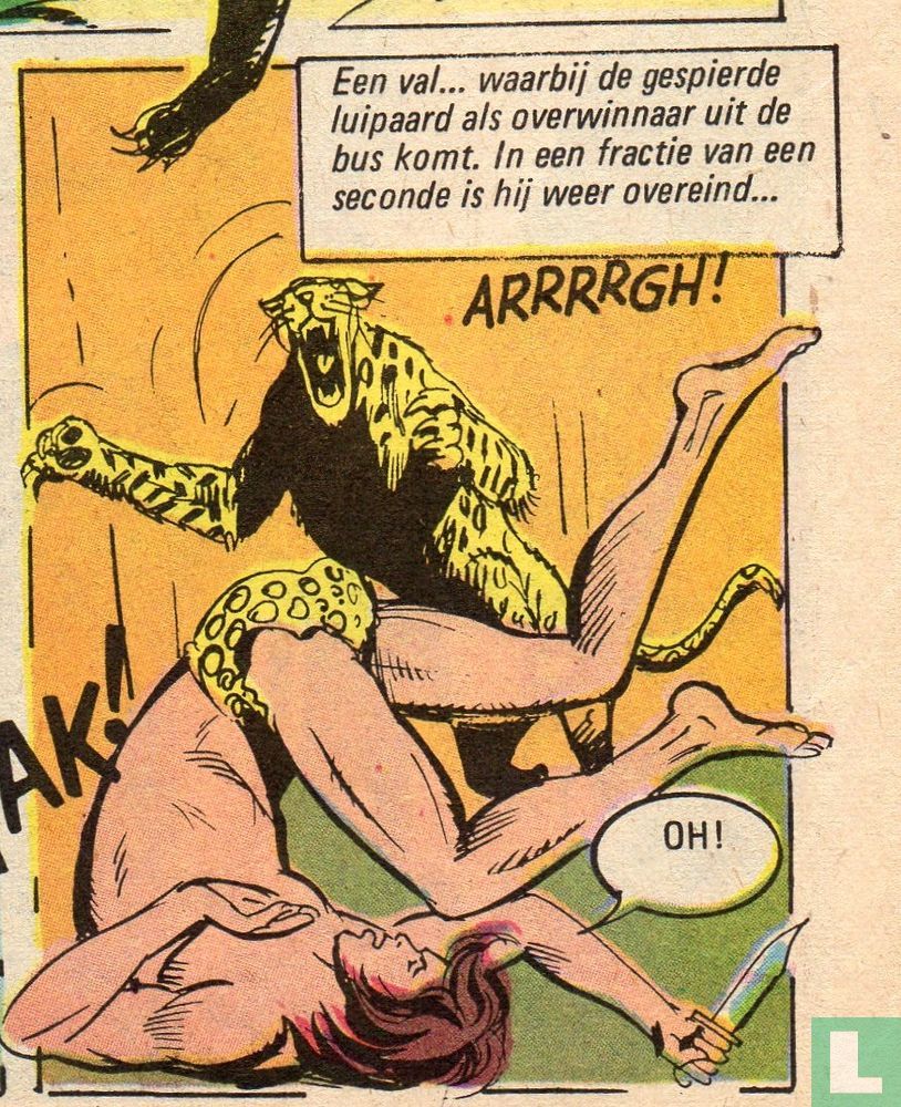 Cheetah