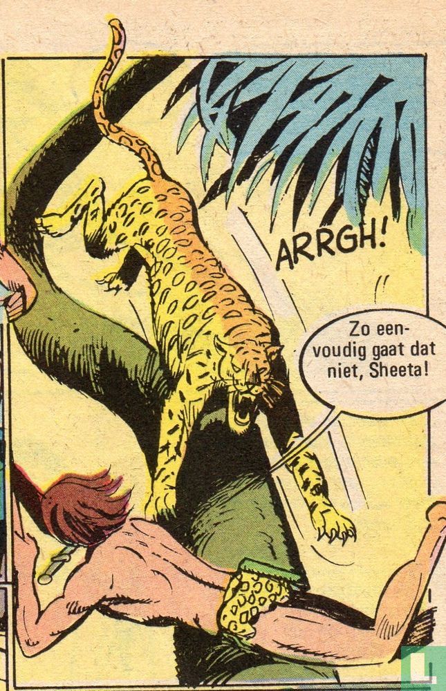 Cheetah