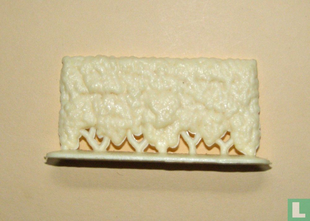 Haag