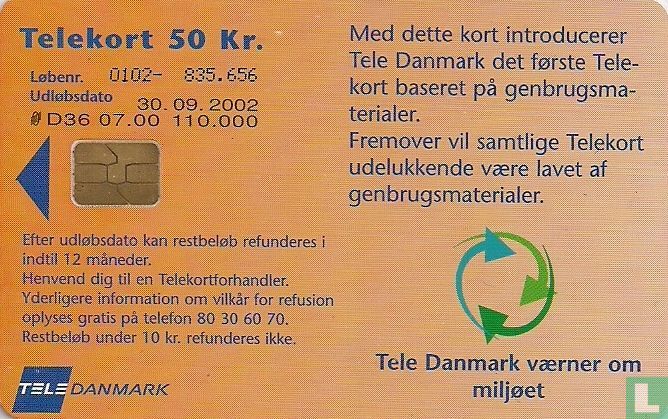 Papegøje