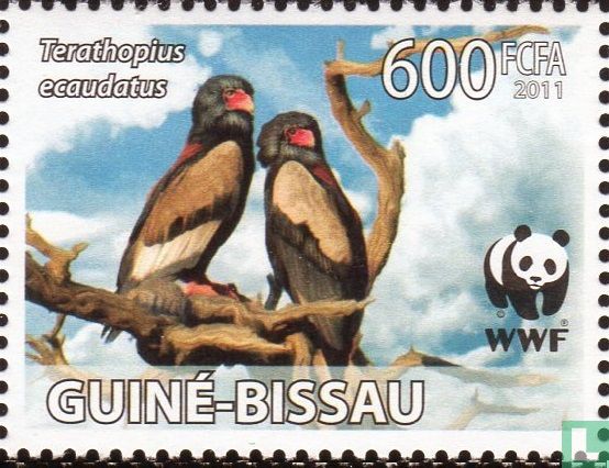 WWF - Bateleur