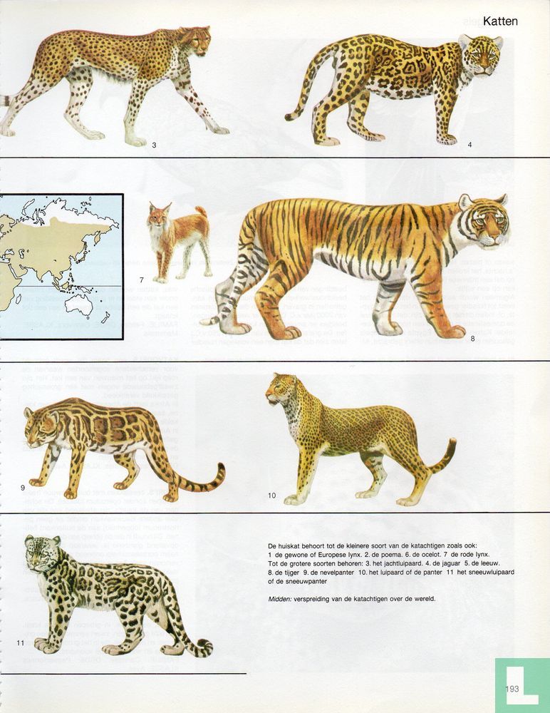 Chats