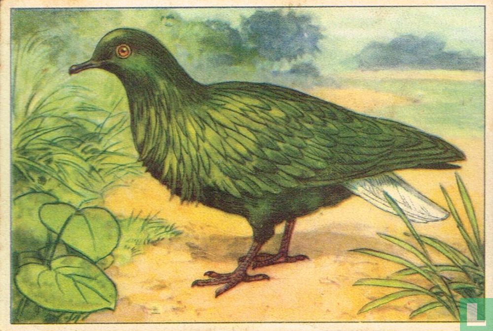 Nicobar / Nicobar