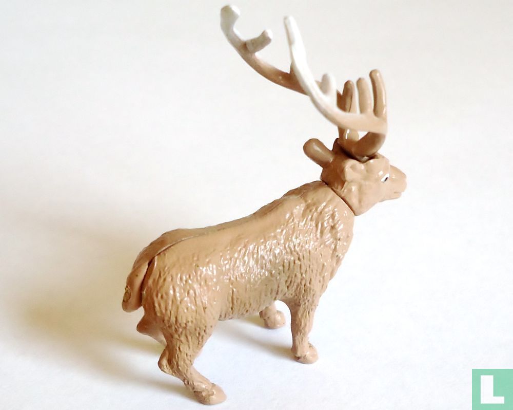 Deer 'Musky'