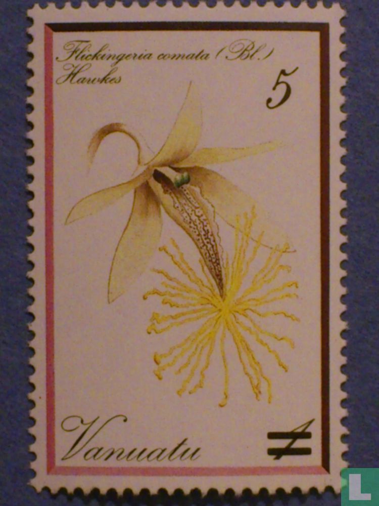 Orchideen