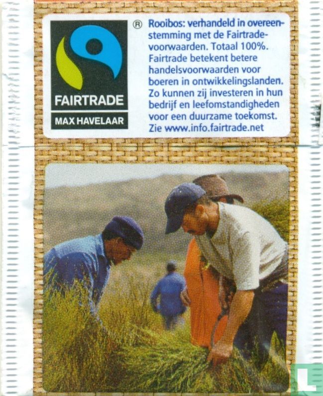 rooibos