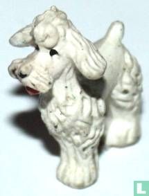 Pudel (weiß)