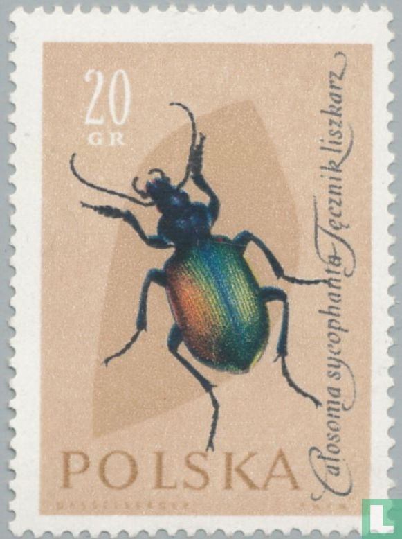 Insecten