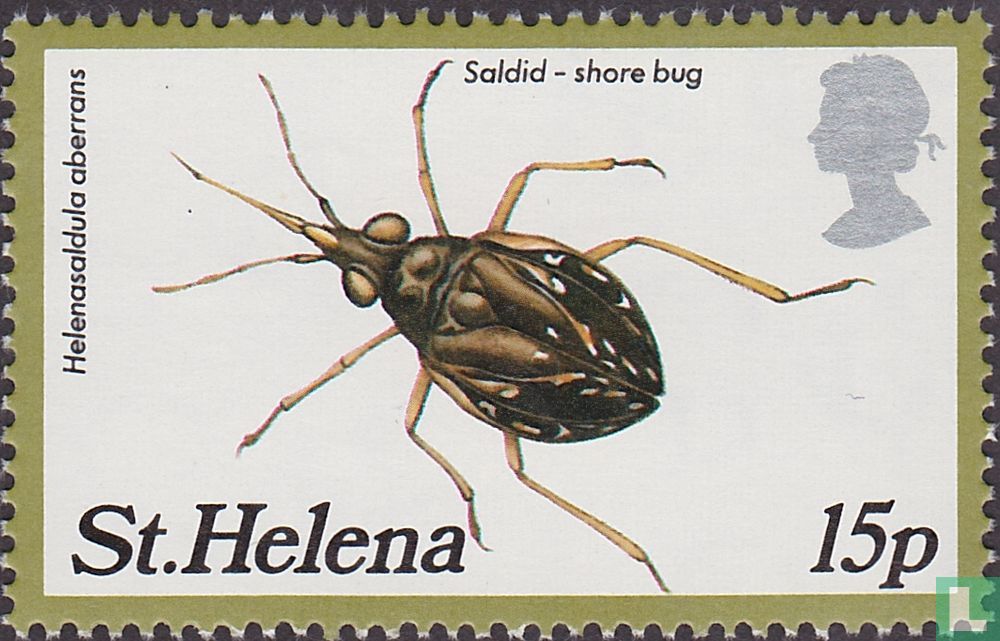 Insectes 