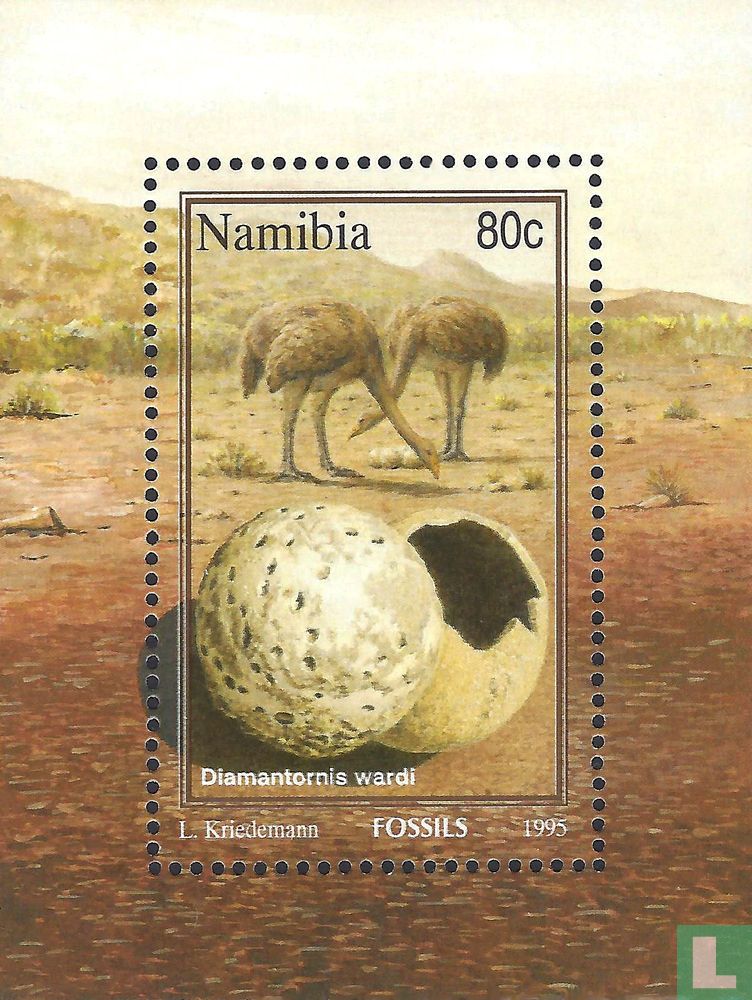 Fossils