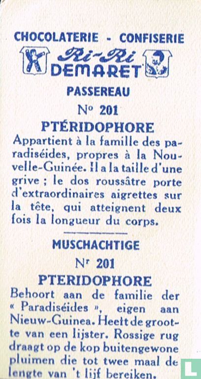 Pteridophore