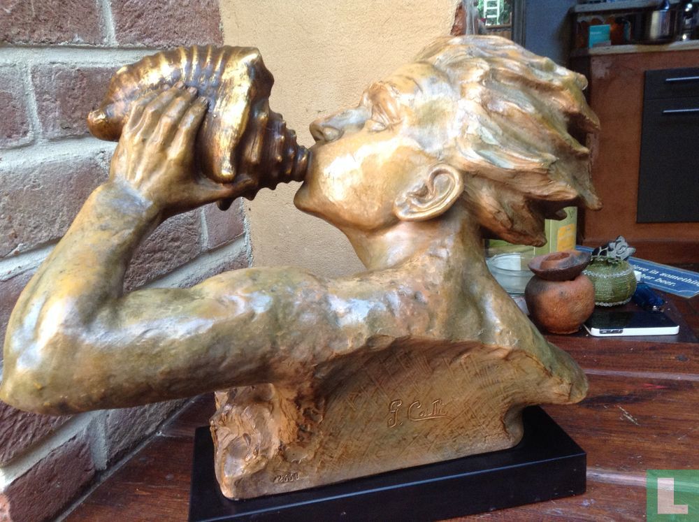 Head with shell