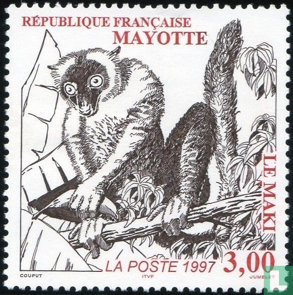Mayotte Lemur