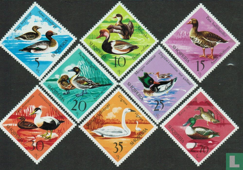 Wasservögel