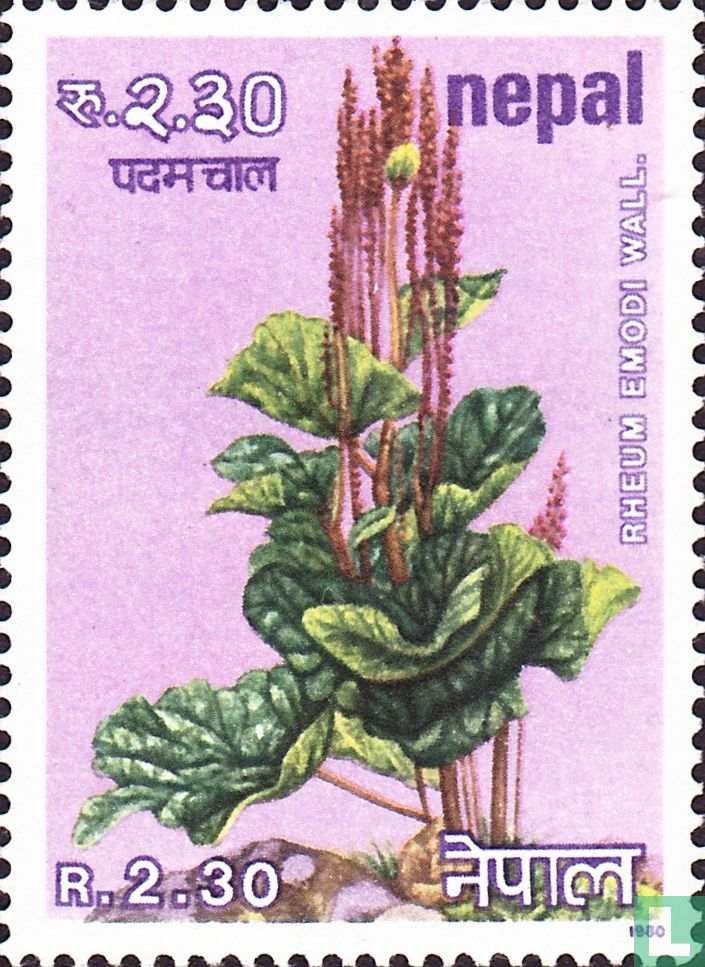 Herbs