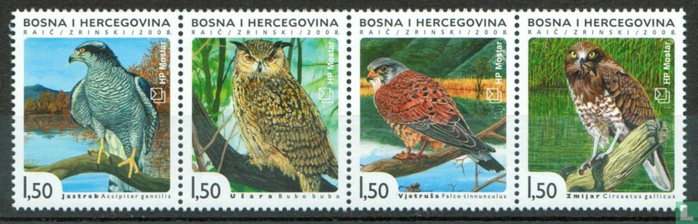 Einheimische Vögel