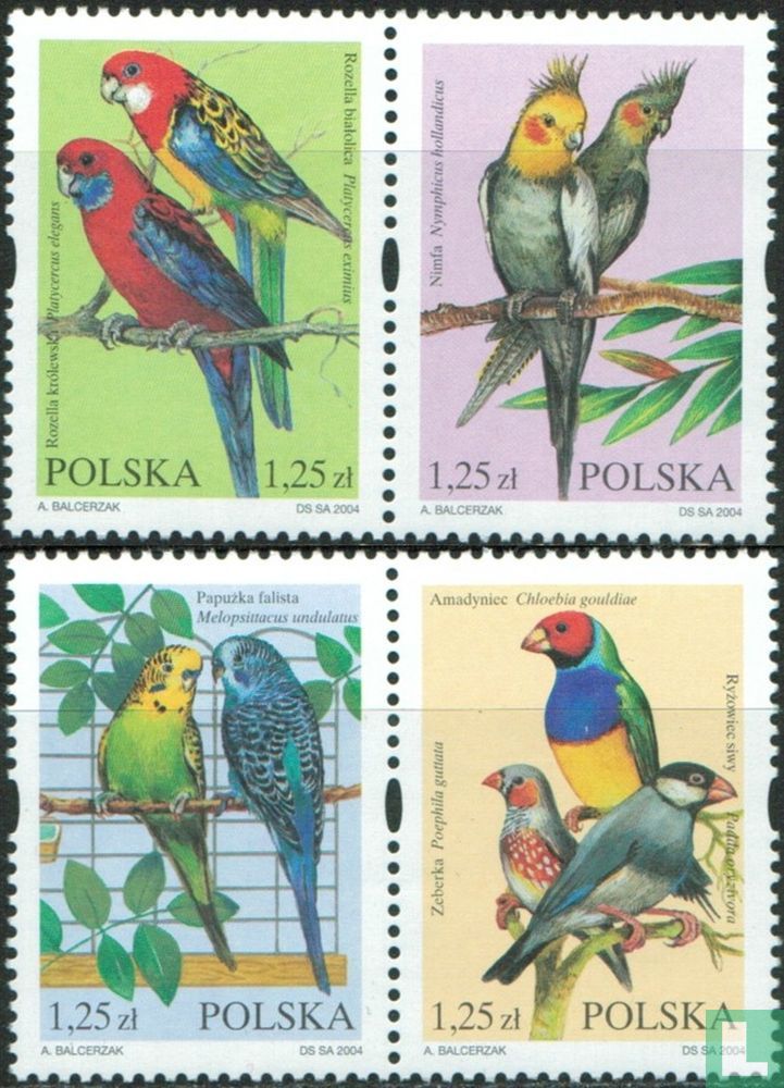 Oiseaux exotiques