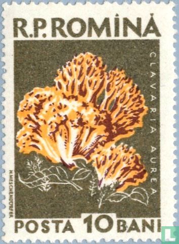 Mushrooms
